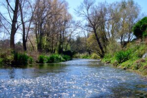 Dia Medi Ambient Manises riu Túria